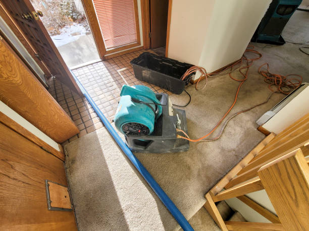 Professional Water damage restoration in Salina, UT